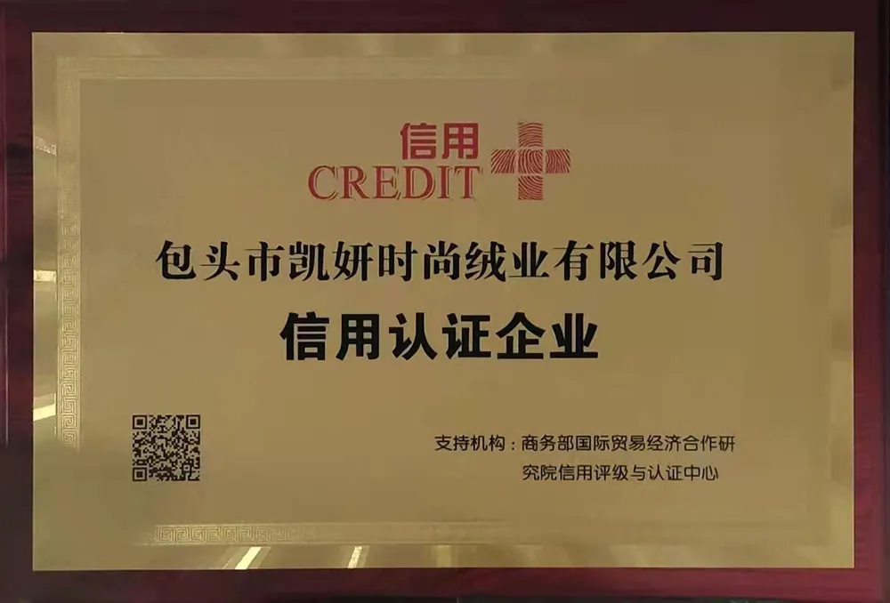 Сертификат1 (10)